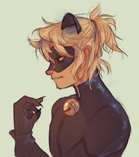 Cat noir
