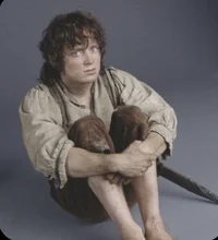 Frodo Baggins