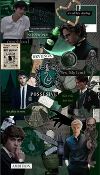 Harry slytherin 