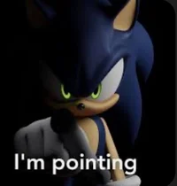 Sonic RP WTF