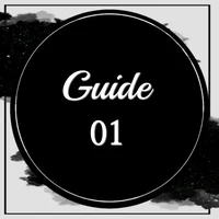 01 - GUIDE