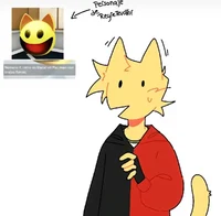 Luis furro-luis gato