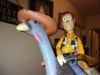 Woody
