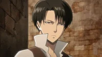 Levi Ackerman 