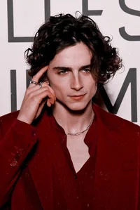 Timothée Chalamet 