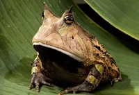 great job on that ma