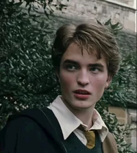Cedric Diggory