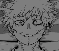 Touya todoroki 