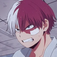 Shoto Todoroki 
