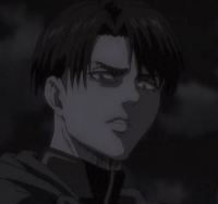 Knight Levi