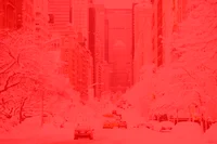 Infested City REBORN