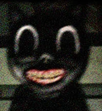 Cartoon cat universe