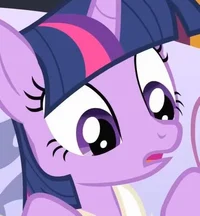 Twilight sparkle