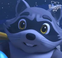 Rita the Raccoon