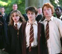 HARRY POTTER SQUAD