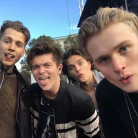 The vamps