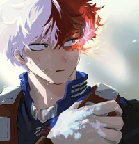 Shoto Todoroki
