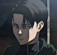 Levi