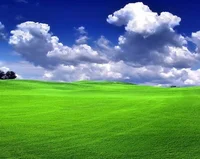 My and your dream rp