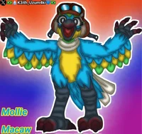 Mollie Macaw