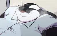 Fat Male Orca