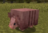 Minecraft armadillo