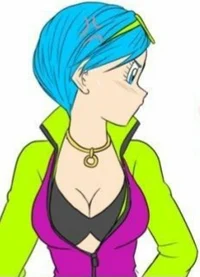 Bulma Briefs 