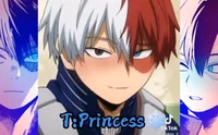Shoto Todoroki CAT