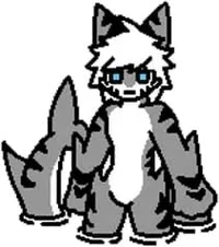 Shark boss