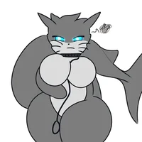 R34 shork
