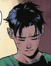 Tim Drake