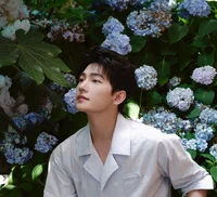 Yang Yang