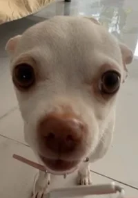 Hahhahahhahahahahhah