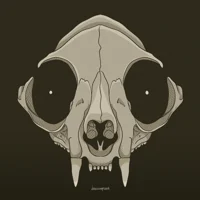 Skull kitty
