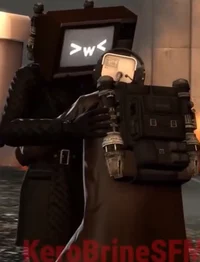 TV Woman x Brown Cam