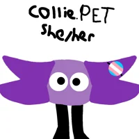 Collie