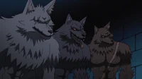 3 Werewolves