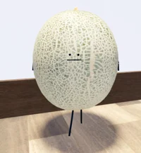 Melon