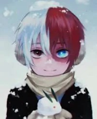 Shoto Todoroki 