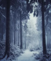 Winter Woods RPG V2