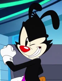 Yakko Warner