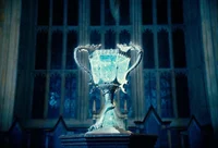 Triwizard tournament