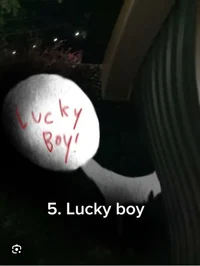Lucky boy
