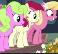 Flower Trio MLP