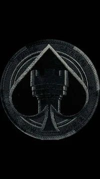 Shadow company
