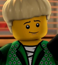 Lloyd garmadon