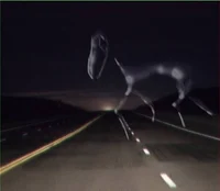 The highway horse