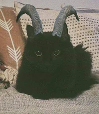 Cat demon