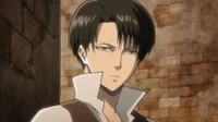 Levi Ackerman 