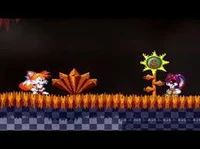 Tails solo- wos